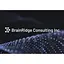 BrainRidge Consulting's logo