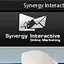 Synergy Interactive's logo