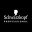 Professional's logo